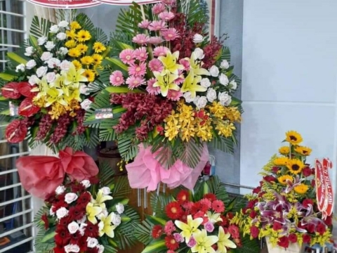 Hình ảnh khách hàng