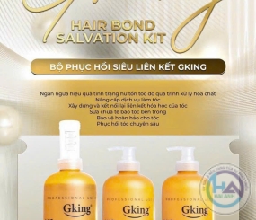 Bộ Phục Hồi Siêu Liên Kết Gking