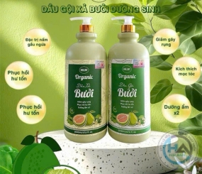 Dầu Gội Xả Bưởi Dưỡng Sinh BBLUNT Organic