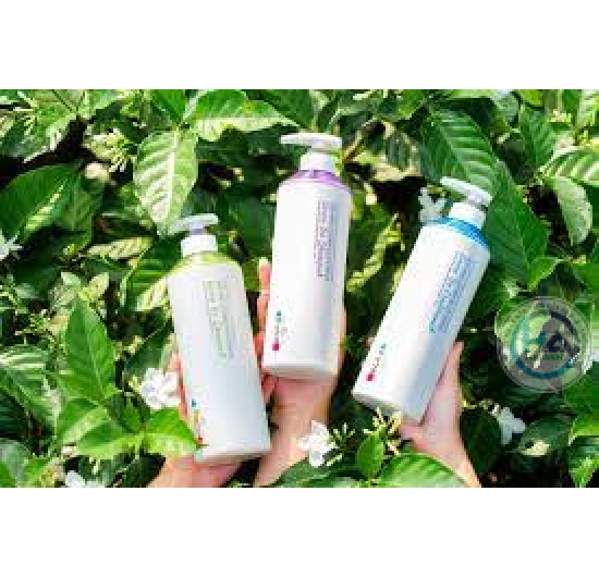 Gội xả dưỡng sinh Meiki Max