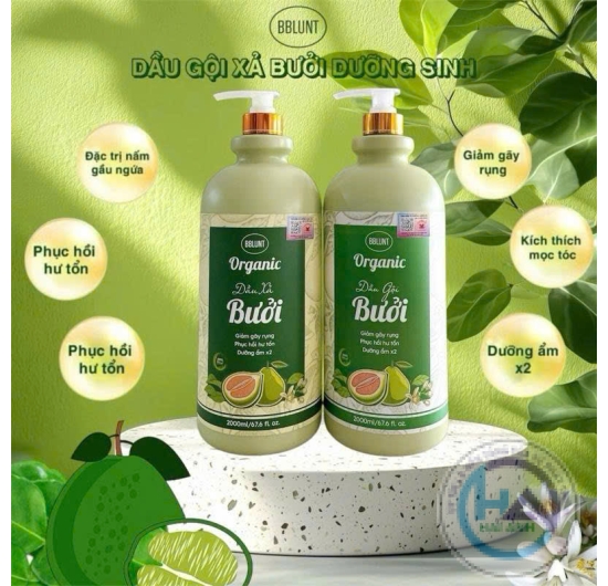 Dầu Gội Xả Bưởi Dưỡng Sinh BBLUNT Organic