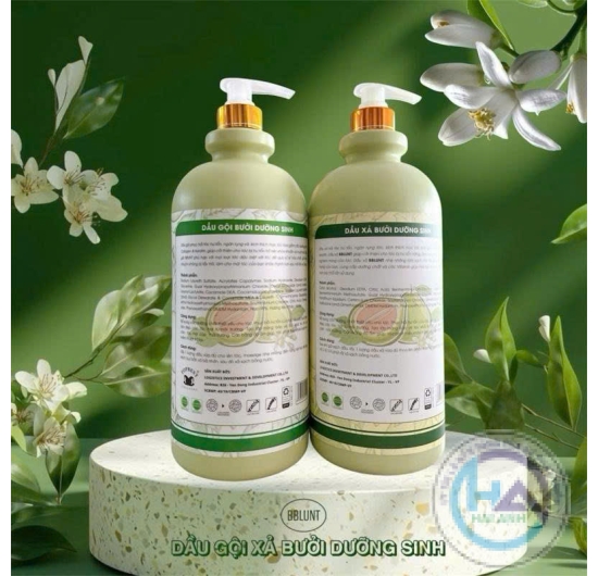Dầu Gội Xả Bưởi Dưỡng Sinh BBLUNT Organic